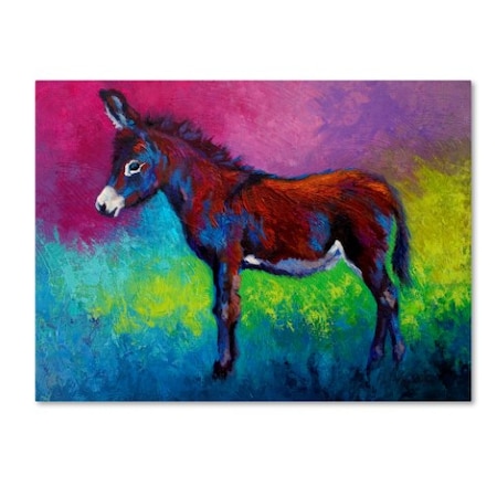 Marion Rose 'Donkey Jenny' Canvas Art,14x19